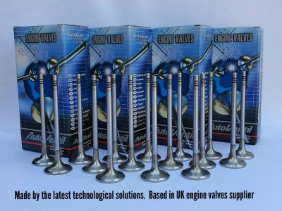 Set of 16 engine valves for Mercedes 1.8 Kompresor M271 Engines 6mm